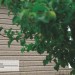 Сайдинг Ю-Пласт TIMBERBLOCK Пихта (Тимберблок) Cахалинская купить в New Moscow