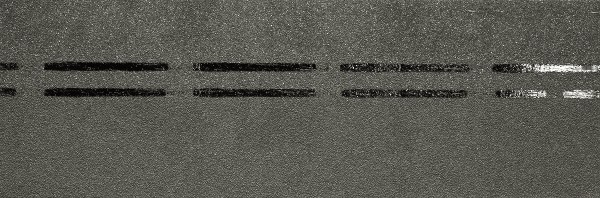 Коньково-карнизная черепица Docke Premium, авокадо купить в New Moscow