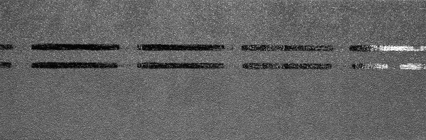 Коньково-карнизная черепица Docke Premium, черника купить в New Moscow